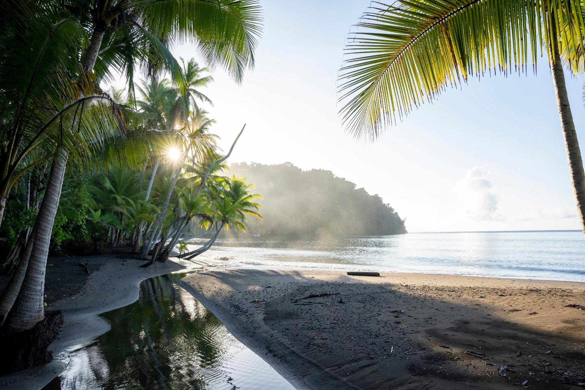 Playa Cativo Lodge Esquinas Екстер'єр фото