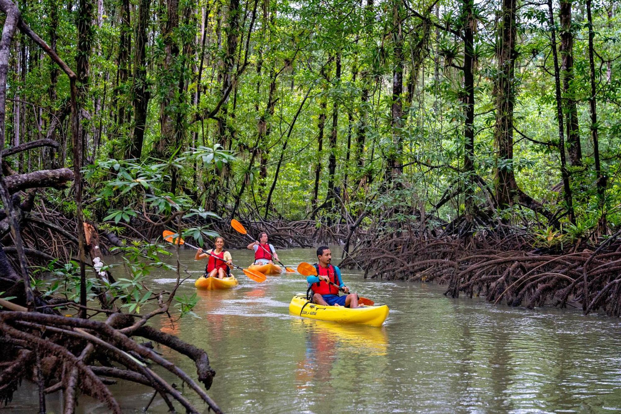Playa Cativo Lodge Esquinas Екстер'єр фото