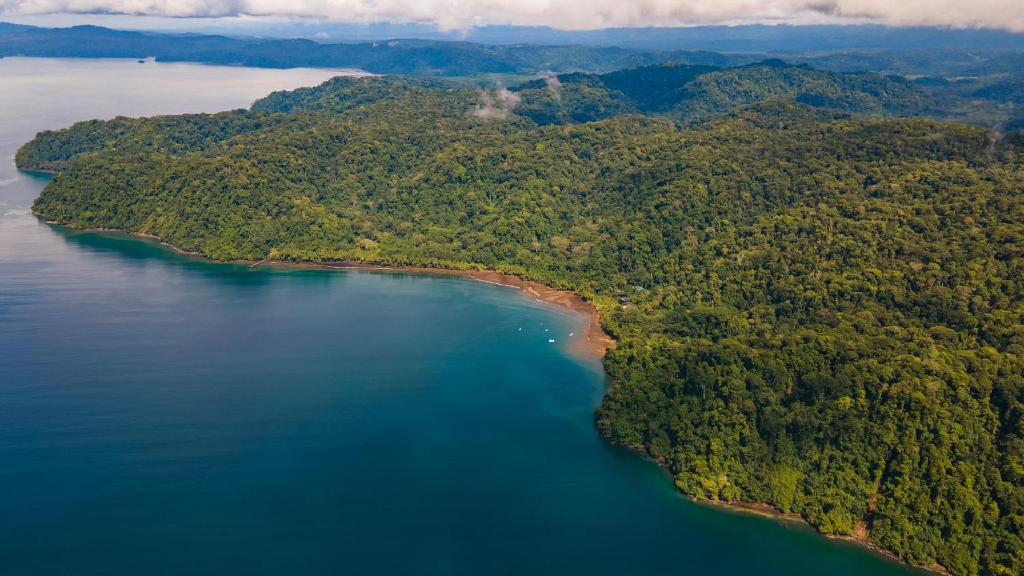 Playa Cativo Lodge Esquinas Екстер'єр фото